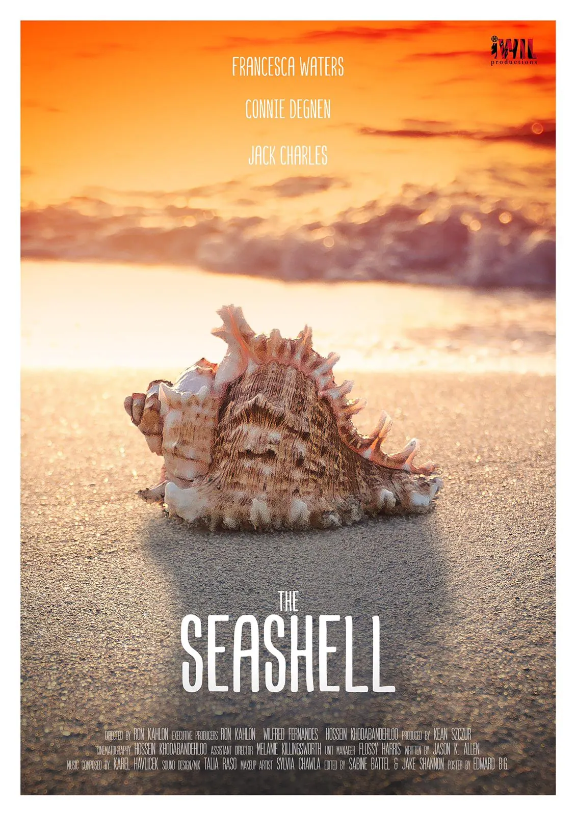 The Seashell